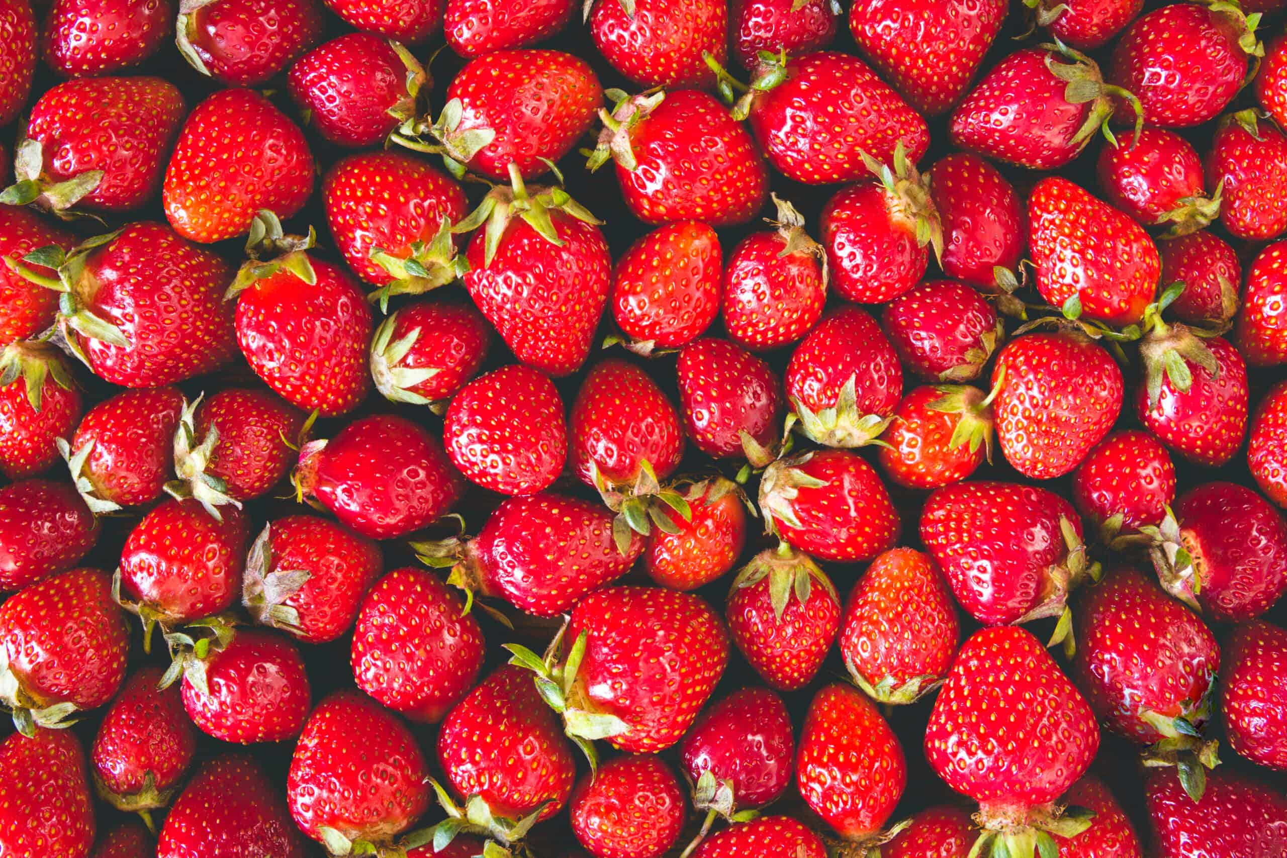 Fresh strawberries